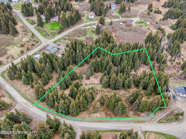 5665 Felix Cir, Homer, AK 99603
