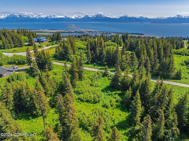 210 Tulin Terrace Blvd, Homer, AK 99603