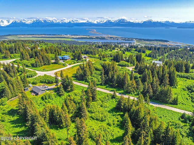 210 Tulin Terrace Blvd, Homer, AK 99603