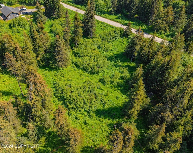 210 Tulin Terrace Blvd, Homer, AK 99603