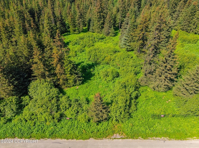 210 Tulin Terrace Blvd, Homer, AK 99603