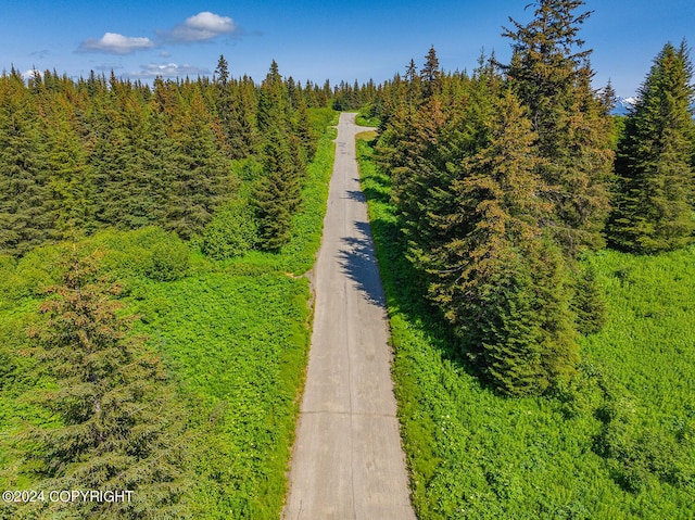 210 Tulin Terrace Blvd, Homer, AK 99603