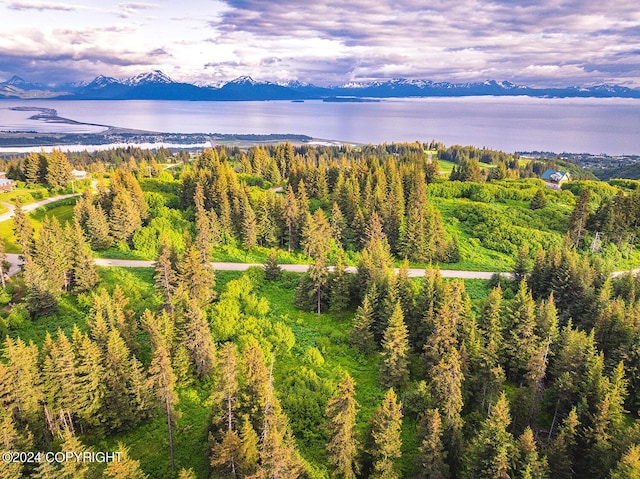 210 Tulin Terrace Blvd, Homer, AK 99603