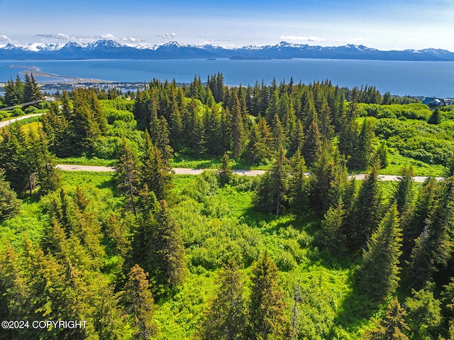 210 Tulin Terrace Blvd, Homer AK, 99603 land for sale