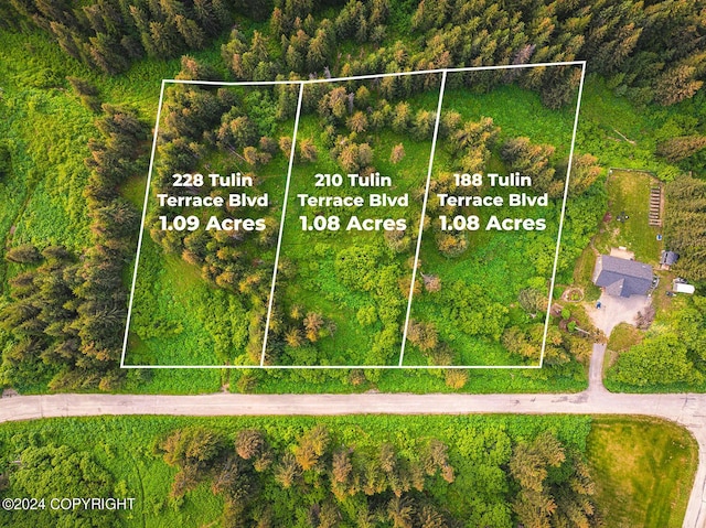 210 Tulin Terrace Blvd, Homer, AK 99603