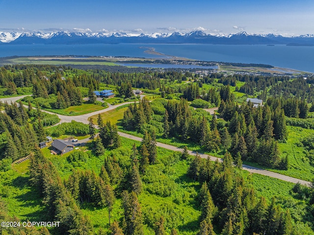 228 Tulin Terrace Blvd, Homer AK, 99603 land for sale