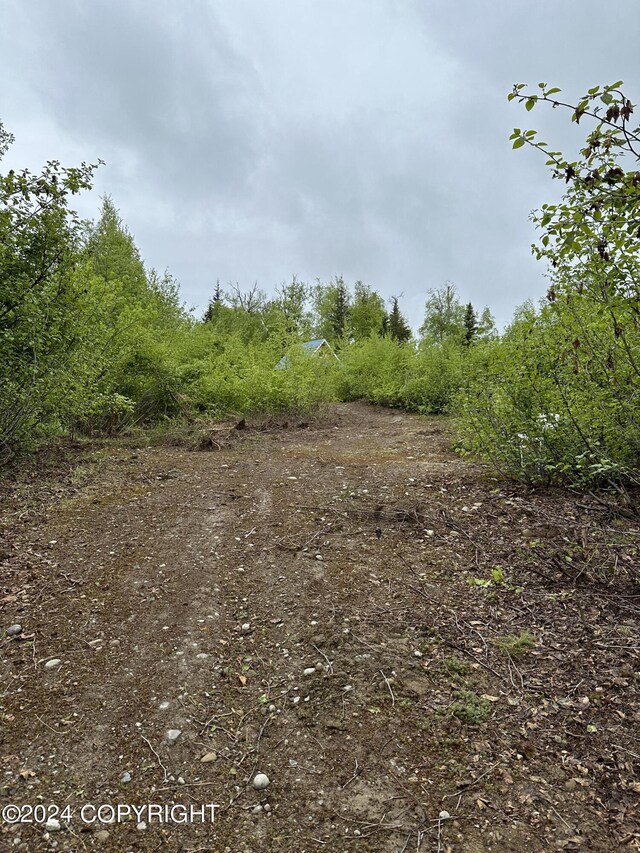 17496 W Lesser Canada Dr, Wasilla, AK 99654 - photo 8