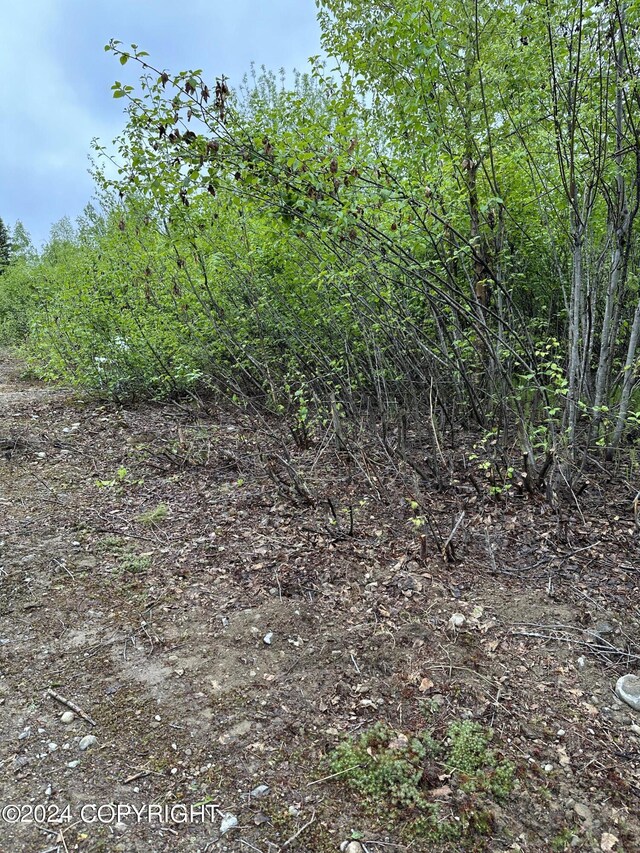 17496 W Lesser Canada Dr, Wasilla, AK 99654 - photo 9