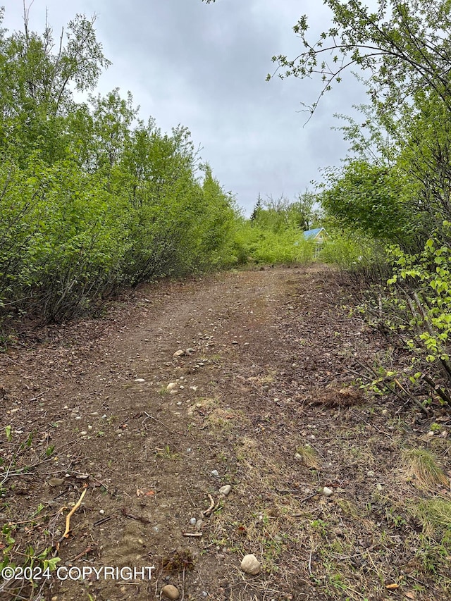 view of local wilderness