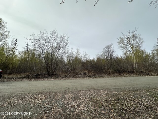 17496 W Lesser Canada Dr, Wasilla, AK 99654 - photo 27