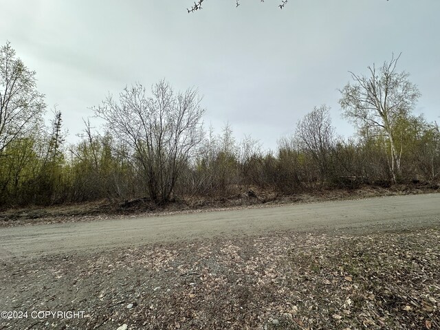 17496 W Lesser Canada Dr, Wasilla, AK 99654 - photo 31