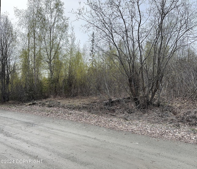 17496 W Lesser Canada Dr, Wasilla, AK 99654 - photo 32