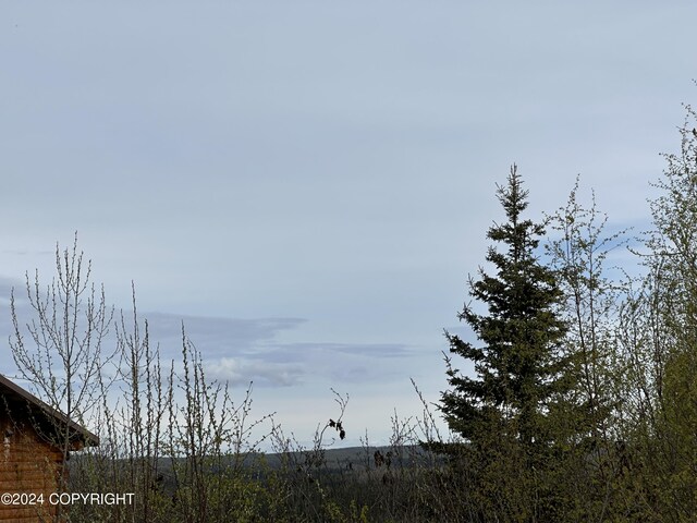 17496 W Lesser Canada Dr, Wasilla, AK 99654 - photo 33