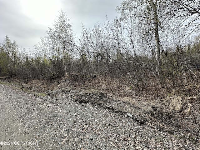 17496 W Lesser Canada Dr, Wasilla, AK 99654 - photo 37