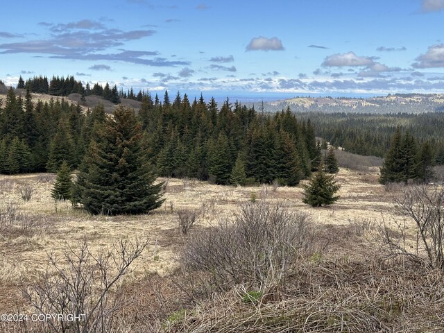 0002 W Highlands Blvd, Homer, AK 99603 - photo 9