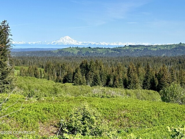 0002 W Highlands Blvd, Homer, AK 99603 - photo 7