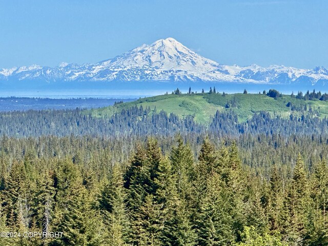 0002 W Highlands Blvd, Homer, AK 99603 - photo 8