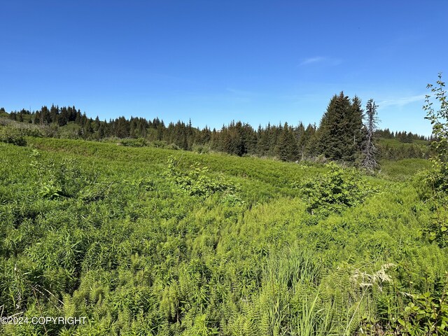 0002 W Highlands Blvd, Homer, AK 99603 - photo 6