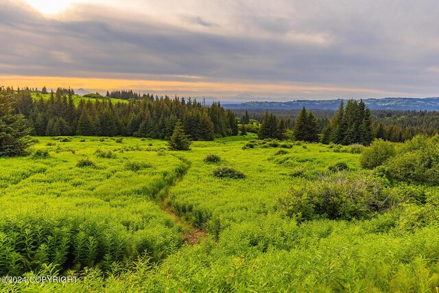 0002 W Highlands Blvd, Homer, AK 99603 - photo 1