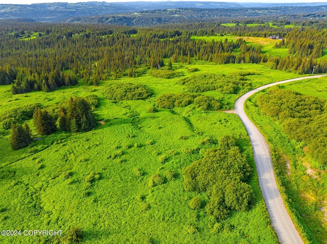 0002 W Highlands Blvd, Homer, AK 99603 - photo 4