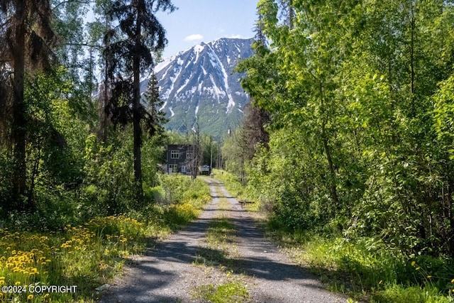 view of mountain feature