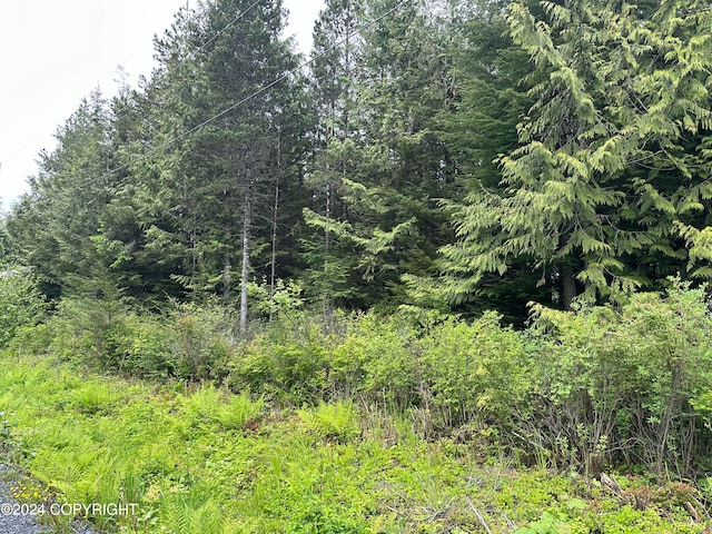 616 Council Dr, Wrangell AK, 99929 land for sale