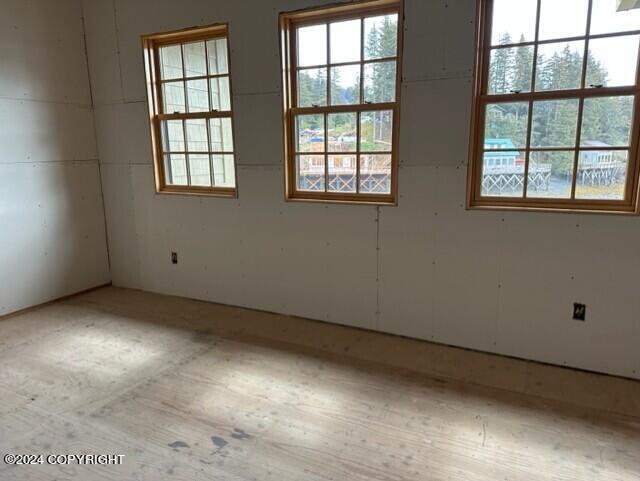 unfurnished room featuring plenty of natural light