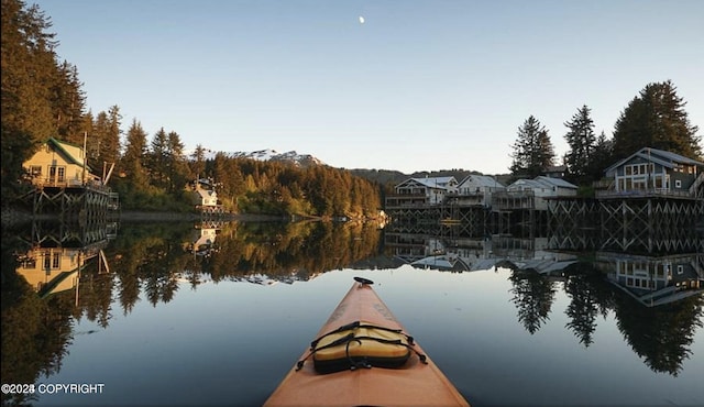 dock area with a water view