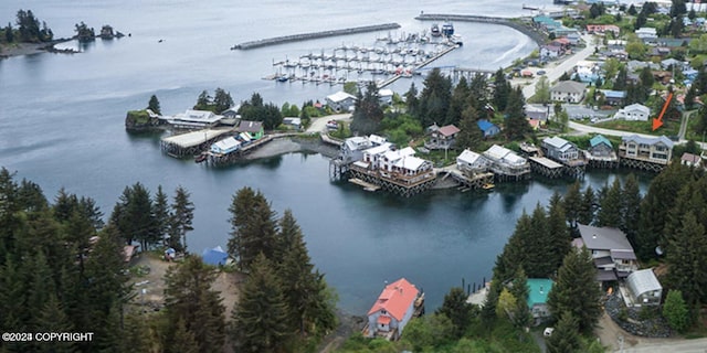 bird's eye view featuring a water view