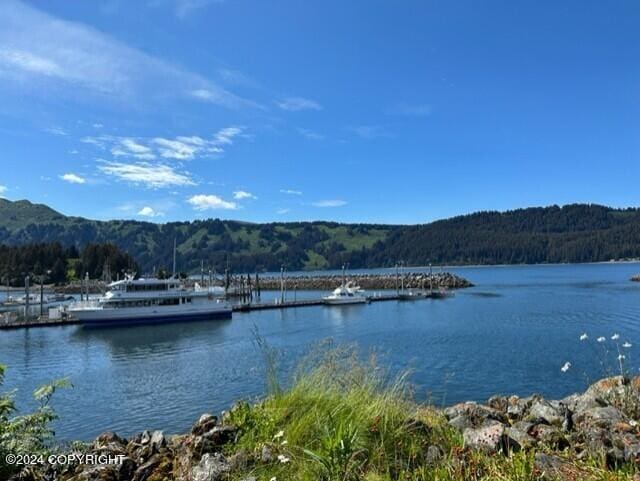 property view of water featuring a mountain view