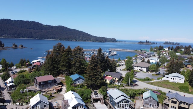 bird's eye view featuring a water and mountain view