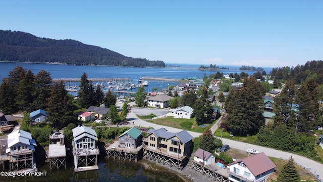 drone / aerial view featuring a water and mountain view