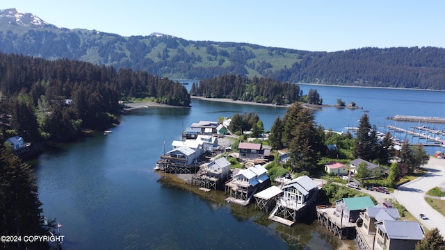 aerial view with a water and mountain view