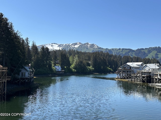 property view of water featuring a mountain view