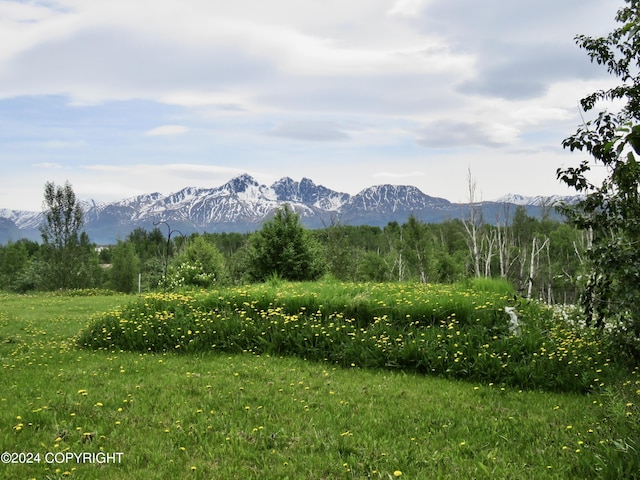 property view of mountains