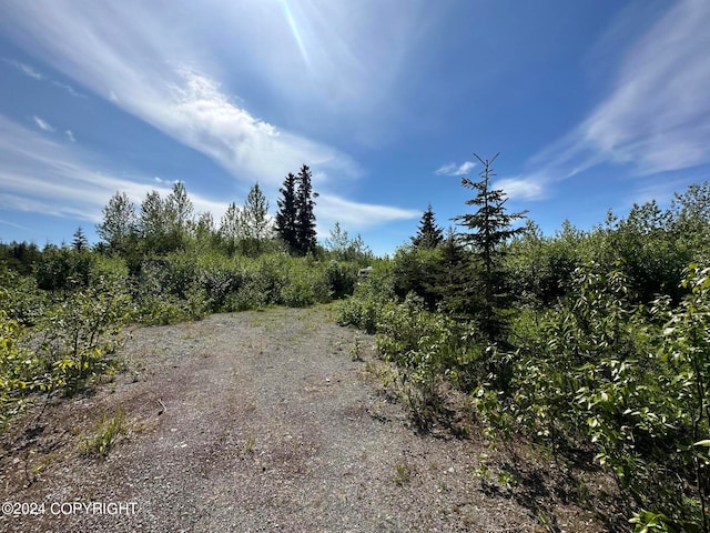 66235 Bev Ave, Ninilchik AK, 99639 land for sale