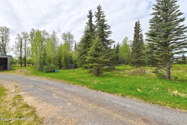 view of road