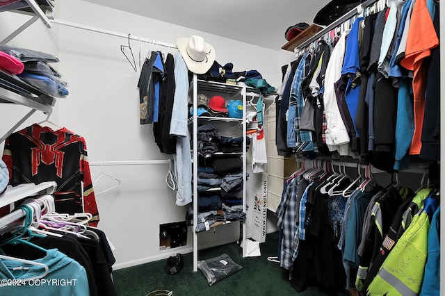 view of spacious closet