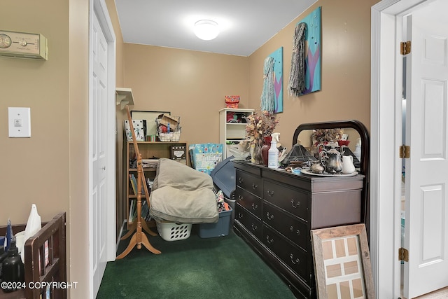 miscellaneous room with carpet flooring