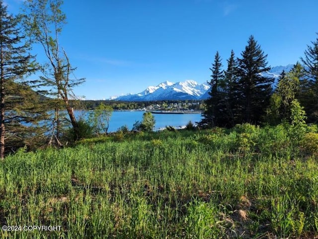 Listing photo 2 for LOT7 E Barnett Dr, Haines AK 99827