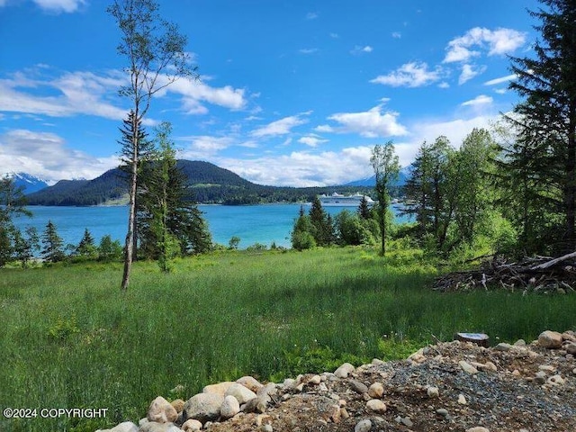 LOT7 E Barnett Dr, Haines AK, 99827 land for sale