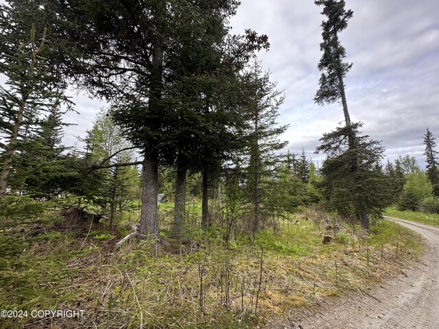 Listing photo 3 for L4 Brillo Rd, Anchor Point AK 99556