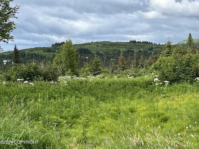 64985 Nikolaevsk Rd, Nikolaevsk, AK 99556 - photo 1