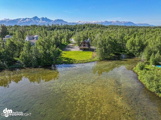 bird's eye view featuring a water and mountain view