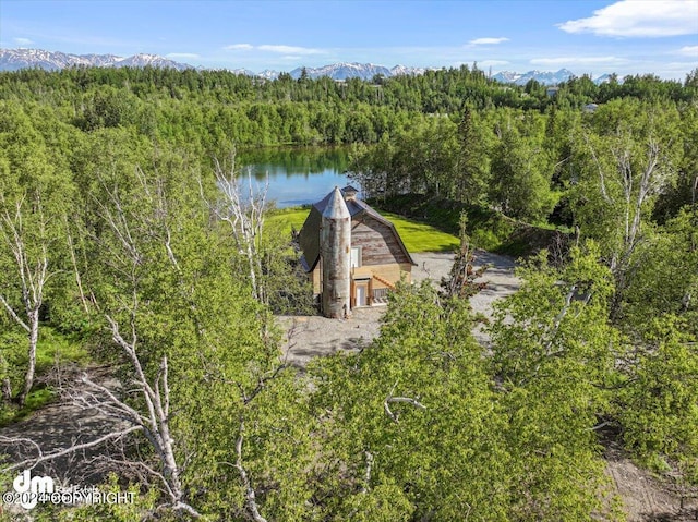 bird's eye view with a water and mountain view