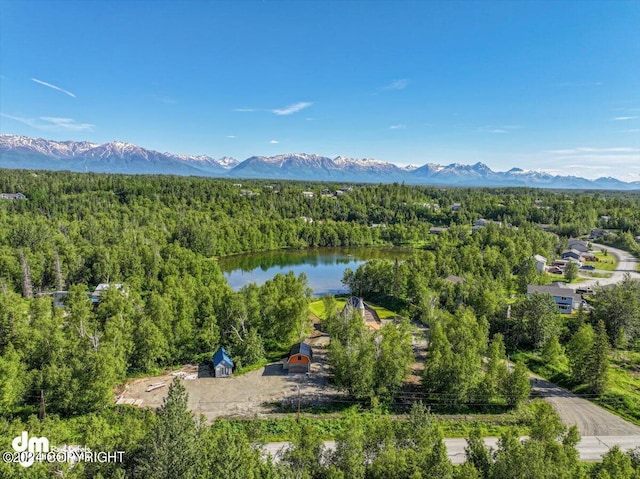 drone / aerial view with a water and mountain view