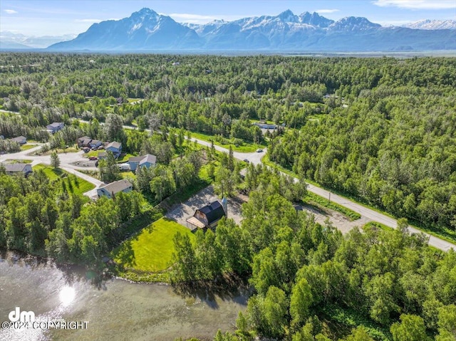 aerial view with a mountain view