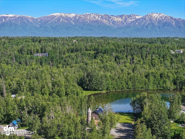 mountain view with a water view