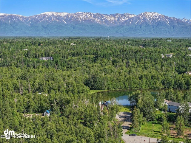 birds eye view of property with a water and mountain view