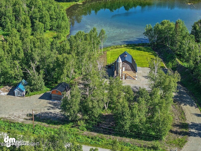 bird's eye view featuring a water view